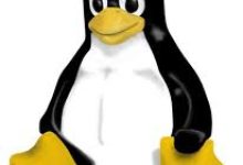 Linux’un simgesi niçin penguen